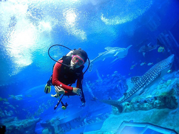 潛在水里，學做一條靜靜的魚