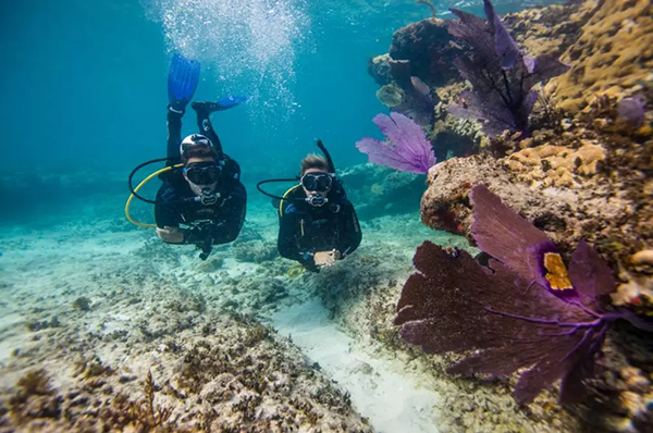 【水肺潛水安全嗎？】轉自PADI