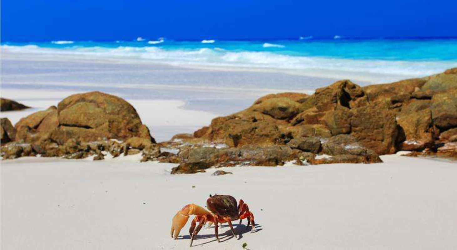 潛水專業術語 中-英對照表