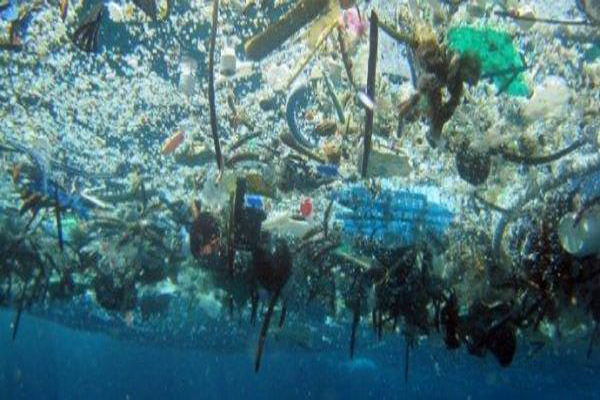 什么是海洋環保