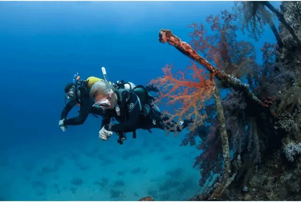 成為潛水員之前的你，是不是也問過這些問題？